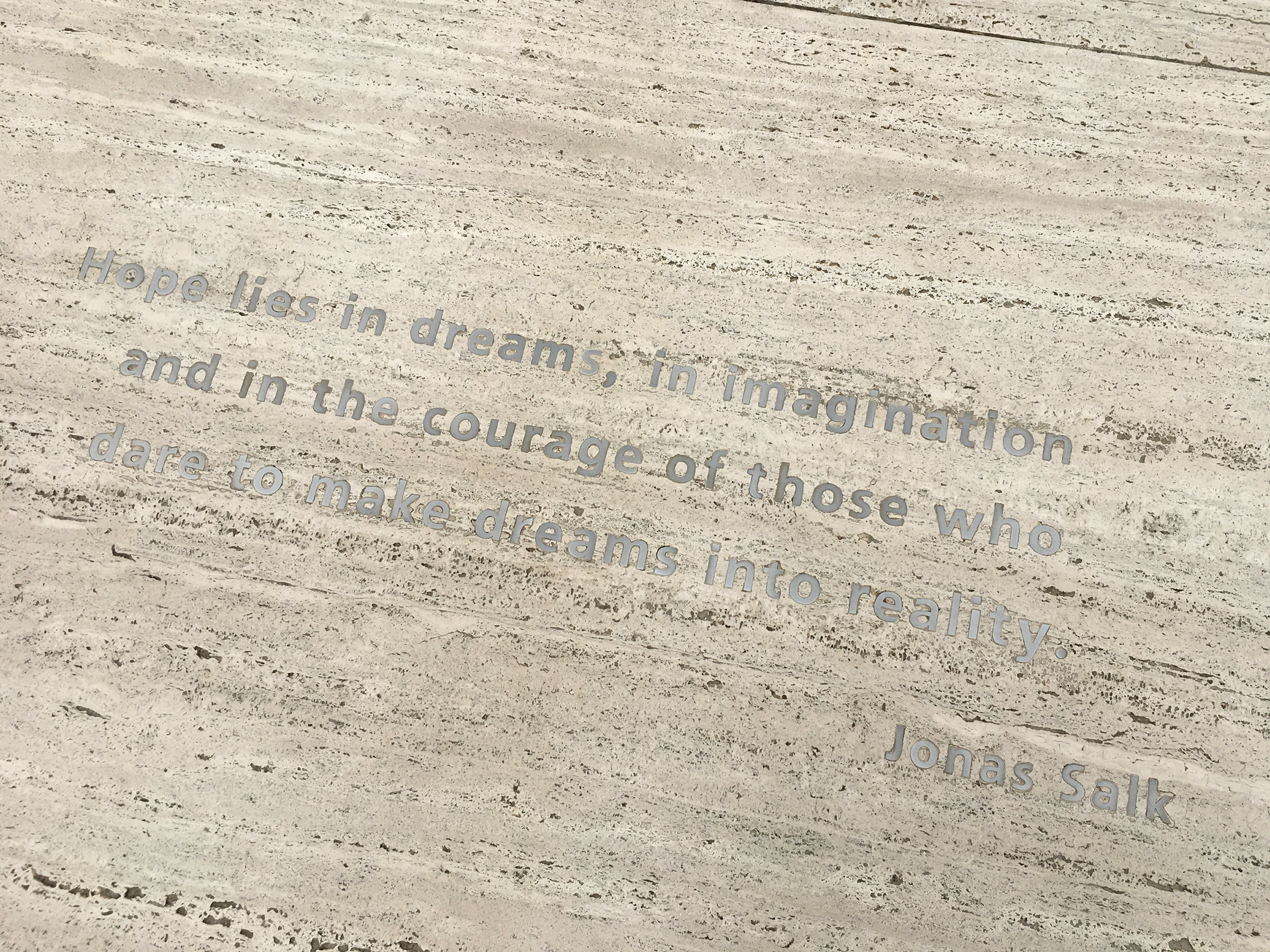 "Hope lies in dreams, in imagination and in the courage of those who dare to make dreams into reality" a famous quote by Jonas Salk at the Salk Institute in La Jolla, California