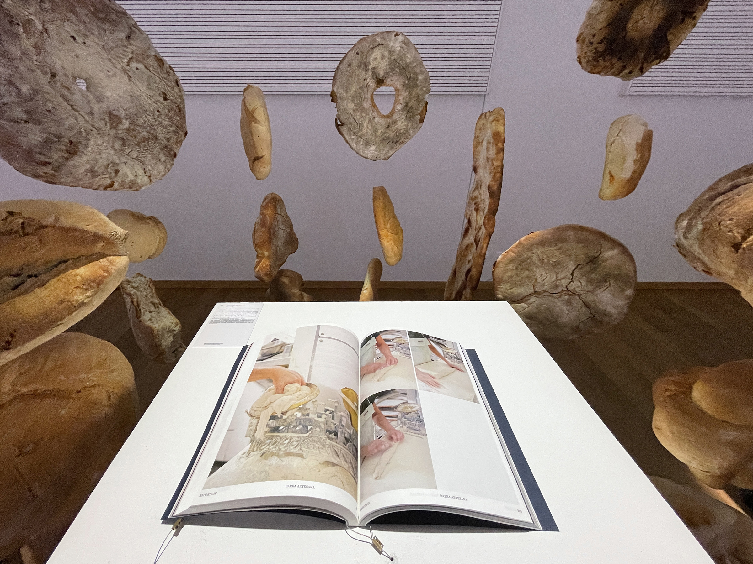 Graduation project by Carolina Marquez Bernard, Speaking Bread at MA Design, Visual Communication, ZHdK, 2022