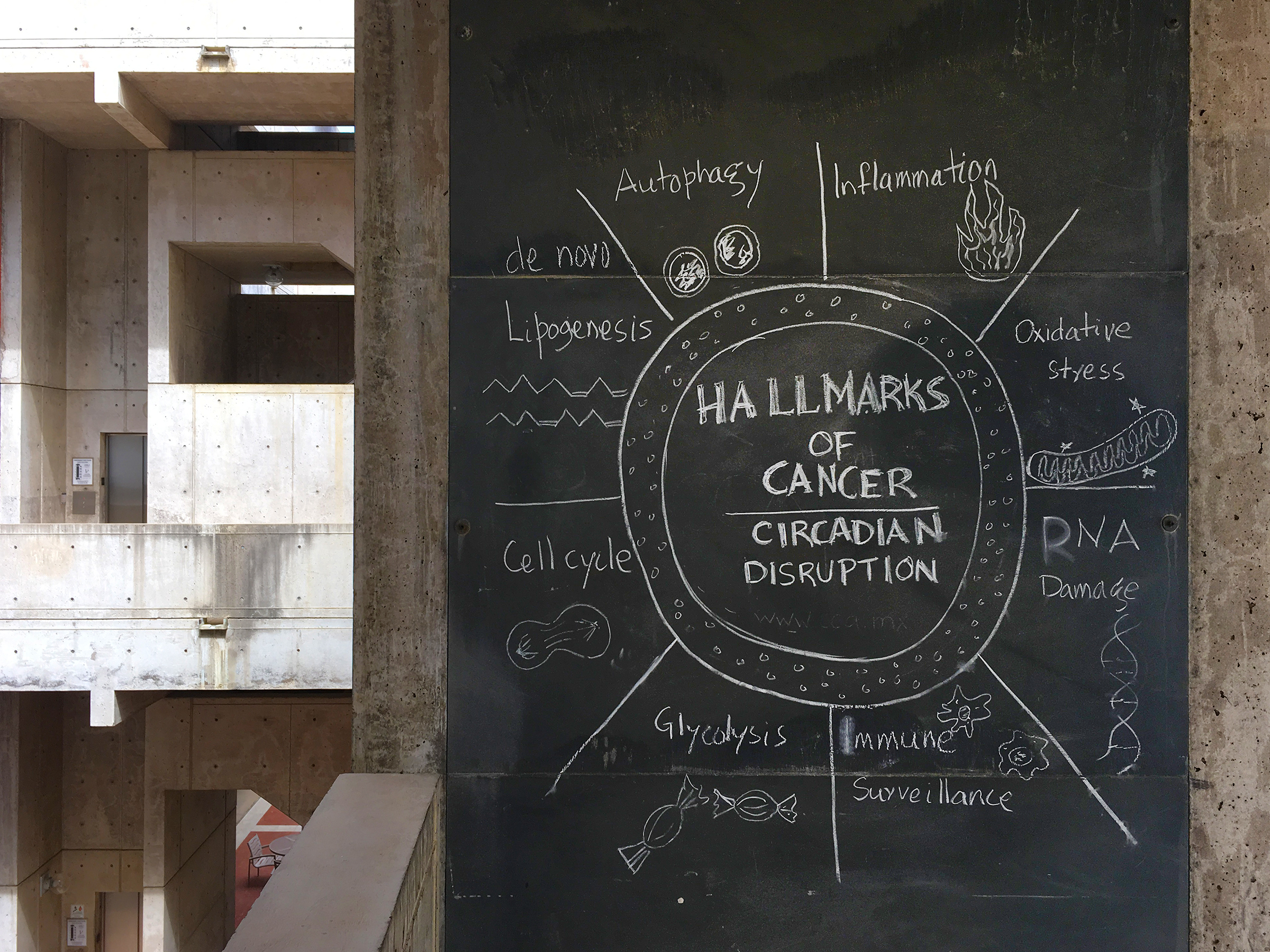 Chalkboards at Salk Institute in La Jolla, California